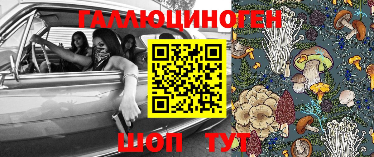Псилоцибиновые грибы мухоморы  Вход с VPN  Лесосибирск 